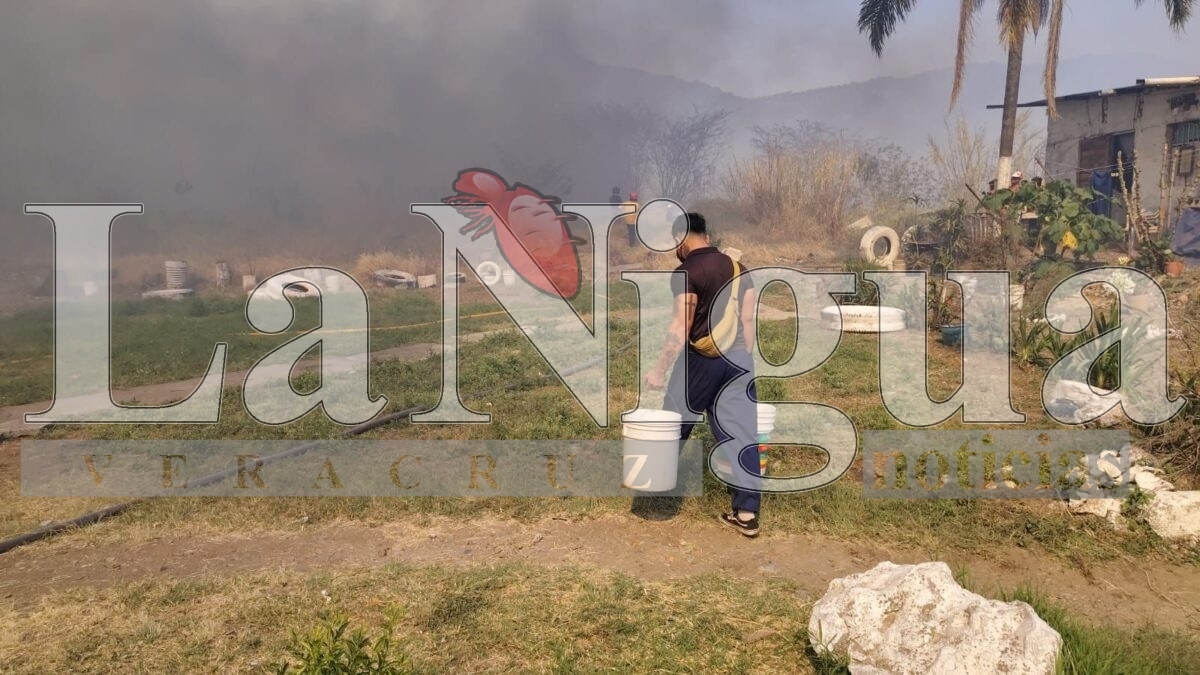 Tras 6 horas controlan incendio en Río Blanco 7 img 20250319 wa033971462787220080714