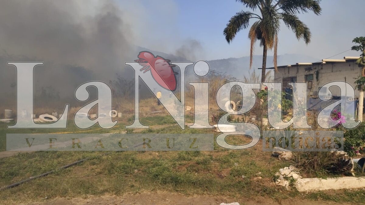 Tras 6 horas controlan incendio en Río Blanco 10 img 20250319 wa03407721501755462292302