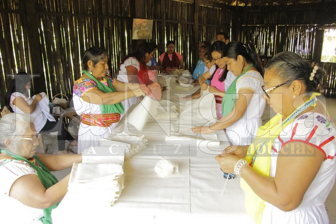 Cumbre Tajín: heredero de la transmisión de conocimientos y saberes ancestrales 4 img 20250320 wa00512052391972264445832