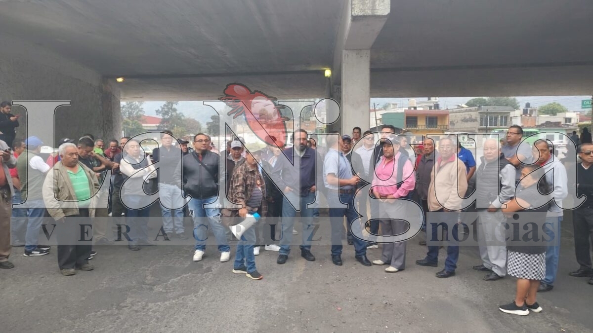 img 20250320 wa02242363857214142403384
