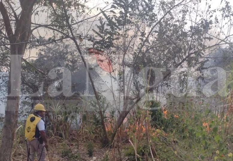Se desatan los incendios en Tantoyuca 2 img 20250320 wa04188744800073856316173