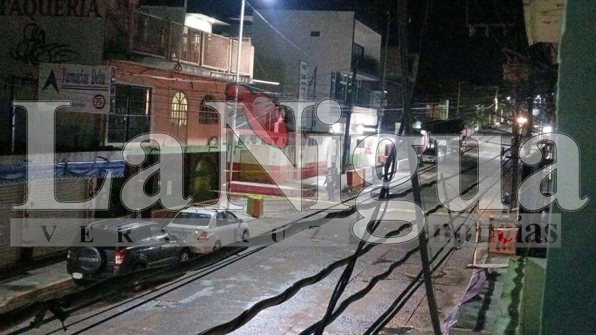 Detienen a cuatro personas y aseguran drogas, armas y un cocodrilo de dos metros en cateo en Martínez de la Torre. 2 img 20250321 wa00682451415921575954335