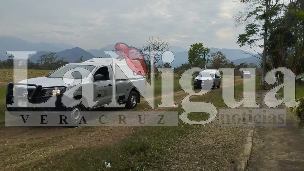 Hallan cuerpo sin vida con huellas de violencia en Villa Unión, Fortín 2 img 20250322 wa01081846581601825777923