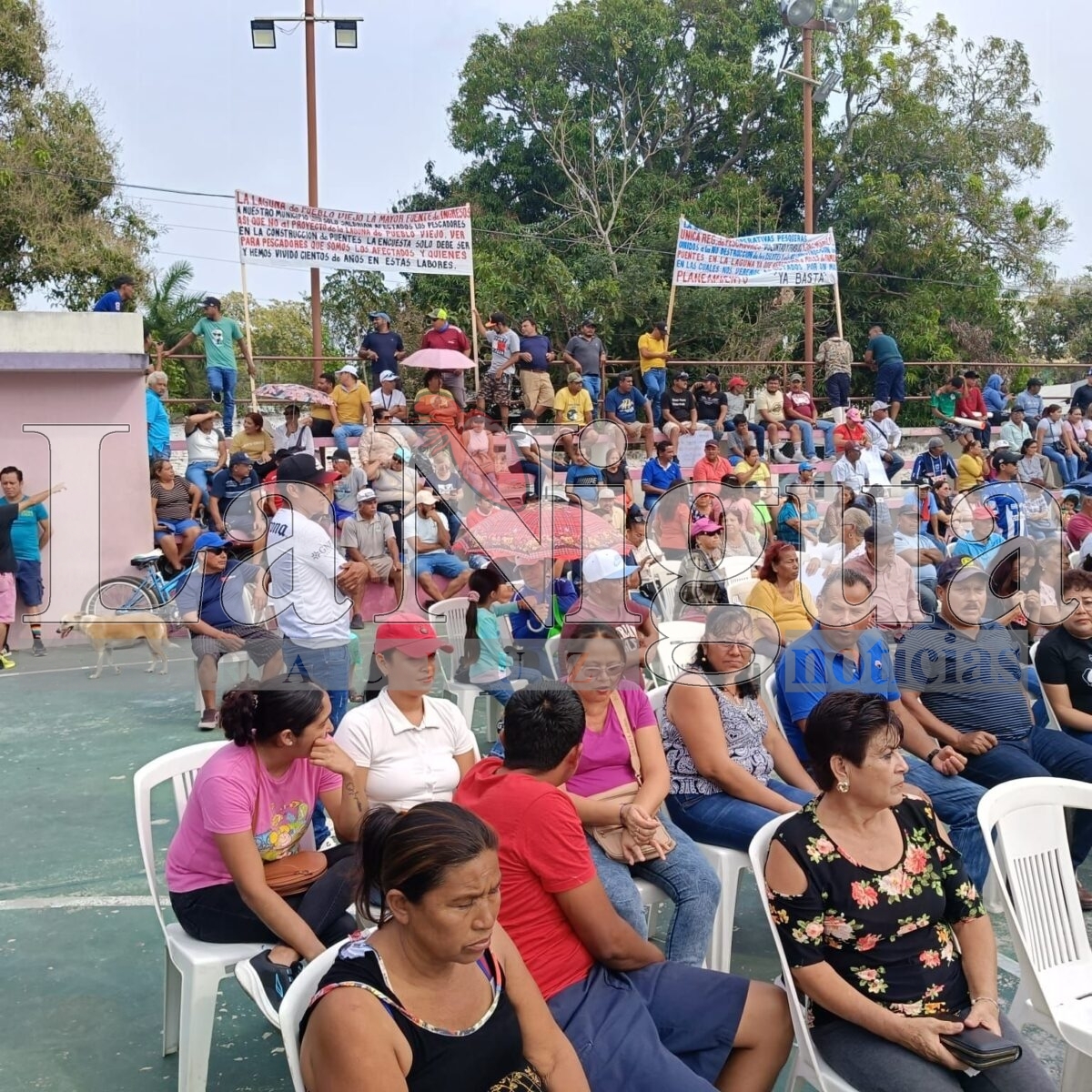 img 20250322 wa01498072346695361206759