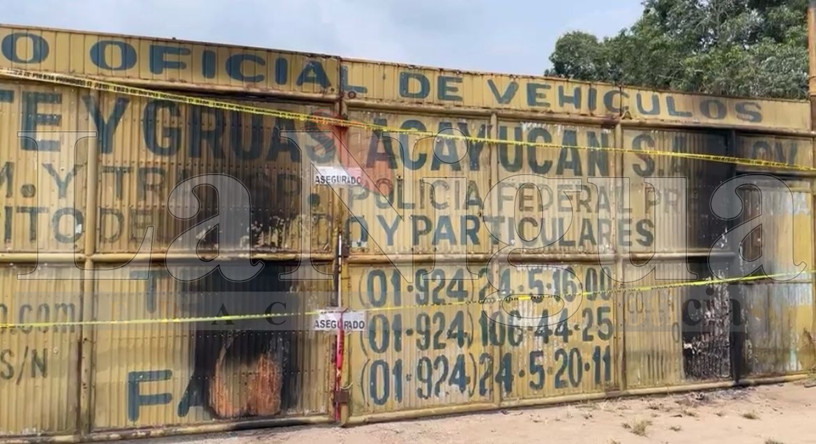 Aseguran 228 vehículos en cateo a predio de Acayucan; investigan posible venta ilegal de autopartes. 4 img 20250325 wa01557025291442020053927
