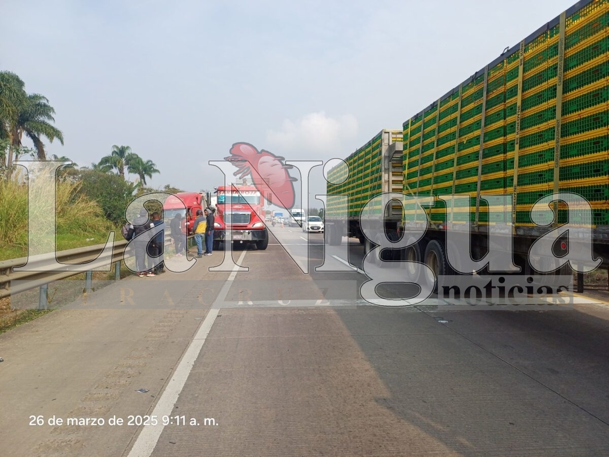 Cierre parcial en autopista Córdoba-Veracruz tras volcadura de tráiler 15 img 20250326 wa00436171333468428355013