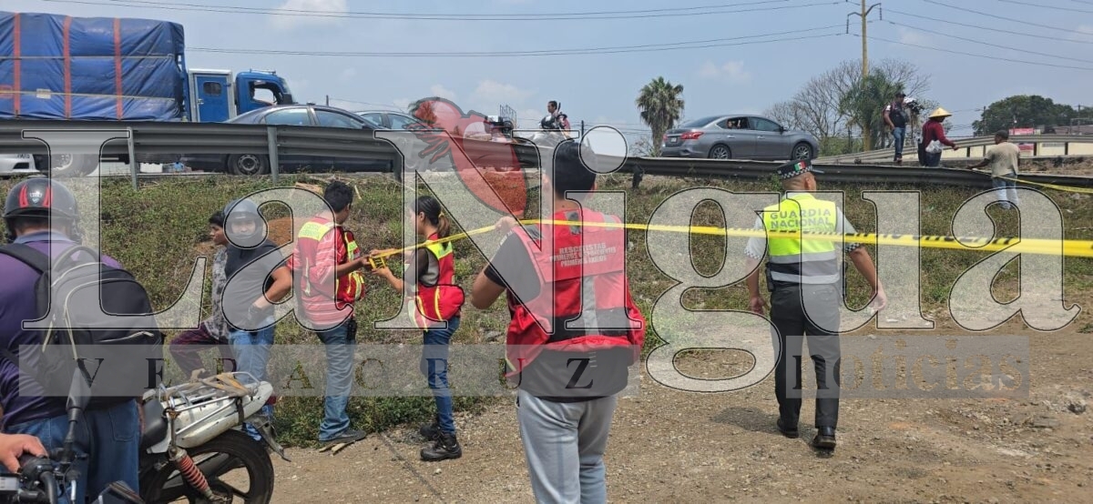 Cierre parcial en autopista Córdoba-Veracruz tras volcadura de tráiler 5 img 20250326 wa01876764059381753867101
