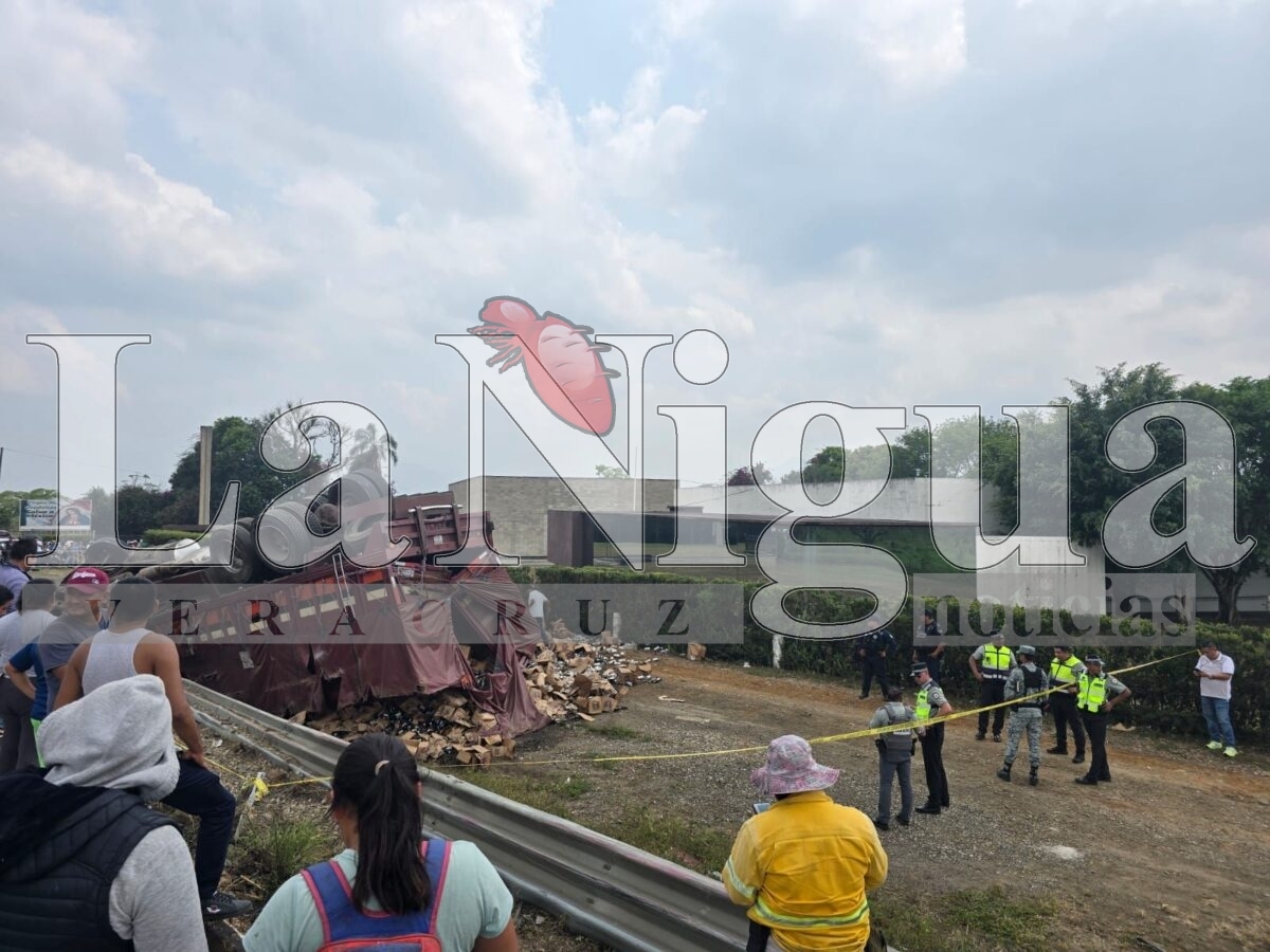 Cierre parcial en autopista Córdoba-Veracruz tras volcadura de tráiler 9 img 20250326 wa01933289498056415281019
