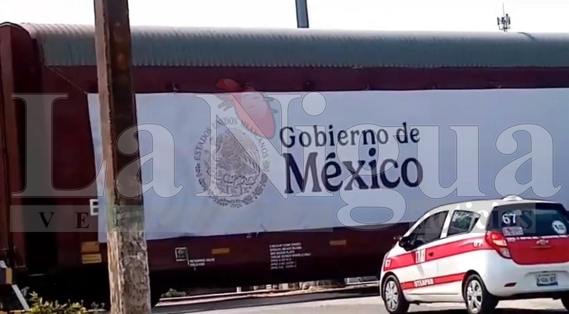 Tren Interoceánico Inicia Prueba Piloto con Transporte de Vehículos Hyundai. 2 img 20250329 wa00776295608437513014629