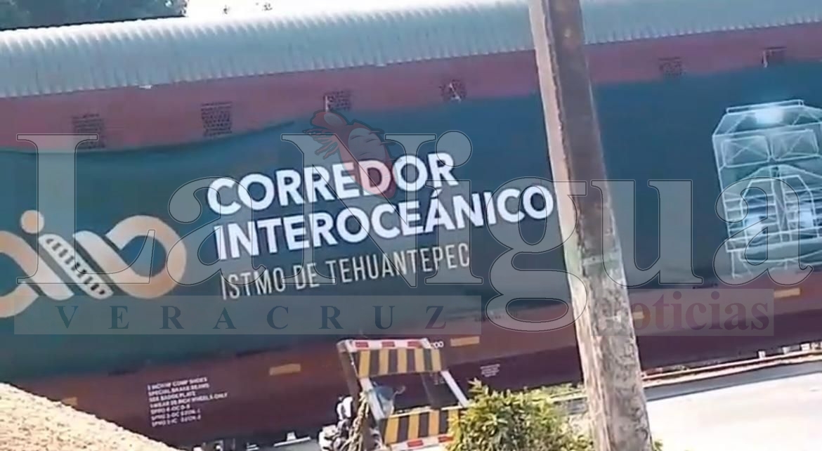 Tren Interoceánico Inicia Prueba Piloto con Transporte de Vehículos Hyundai. 1 img 20250329 wa00784125851306088591690