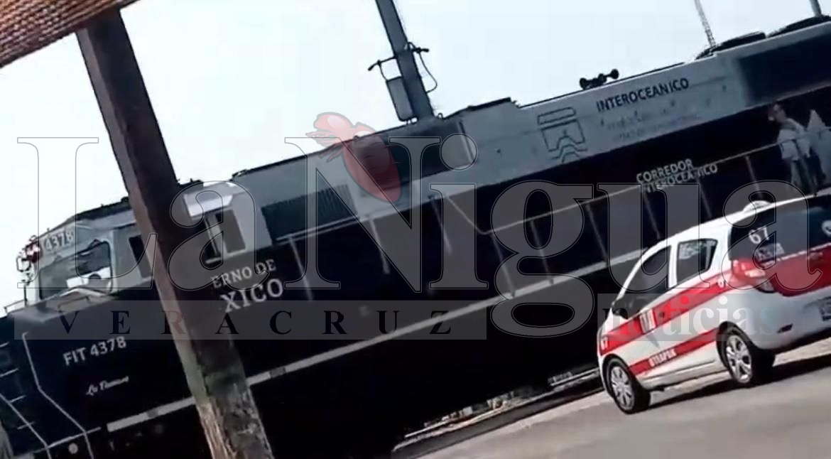 Tren Interoceánico Inicia Prueba Piloto con Transporte de Vehículos Hyundai. 3 img 20250329 wa00794492361345430773048