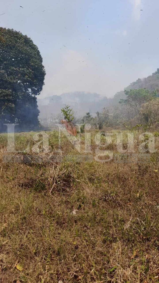 Fuerte incendio en el Cerro de San Miguel, municipio de Yanga