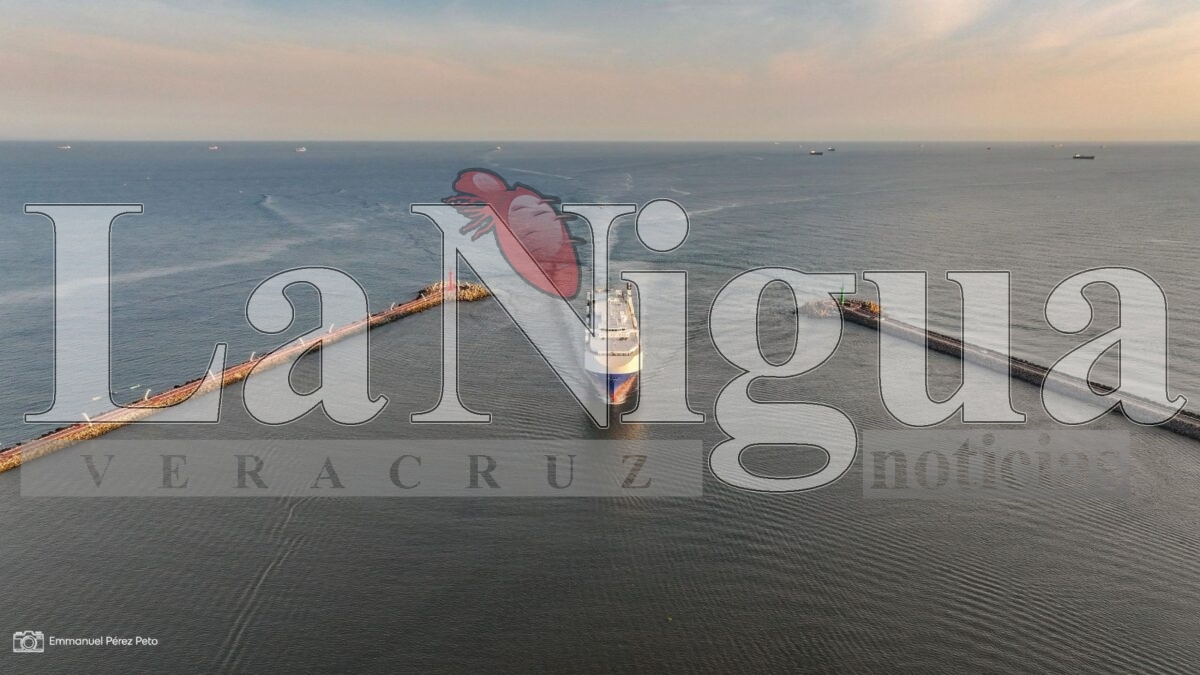 Llega al puerto de Coatzacoalcos el barco que transportará autos coreanos hacia Estados Unidos 1 img 20250402 wa00344762952068808445638