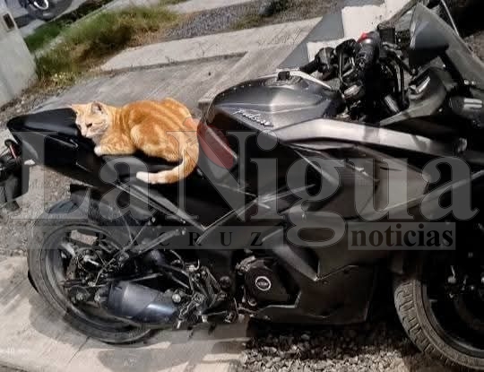 Denuncia Ciudadana: Robo de Motocicleta en Veracruz 3 img 20250402 wa00372891781515544744956