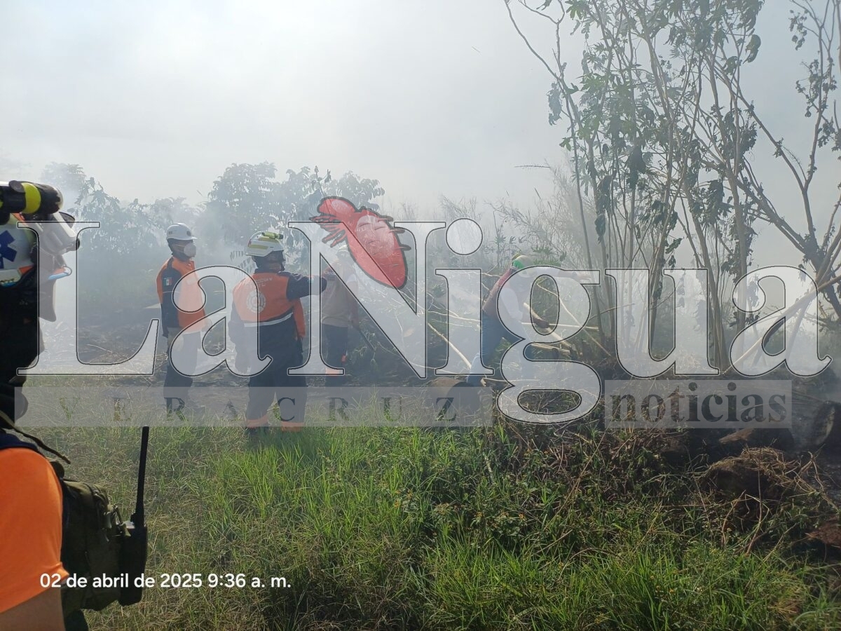 Controlan incendio de llantas en San José de Tapia, Córdoba 19 img 20250402 wa00445904167971298955195