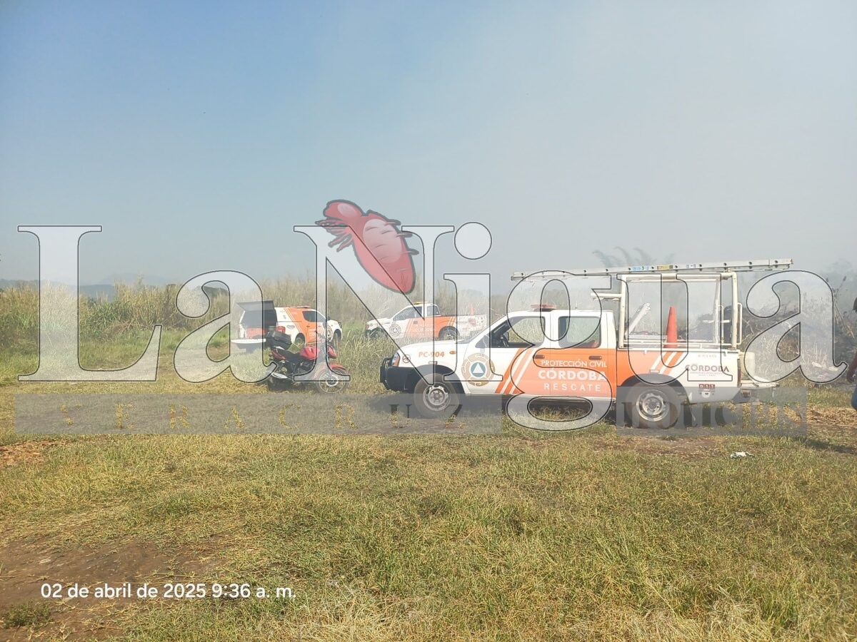 Controlan incendio de llantas en San José de Tapia, Córdoba 14 img 20250402 wa00461297816032351251974