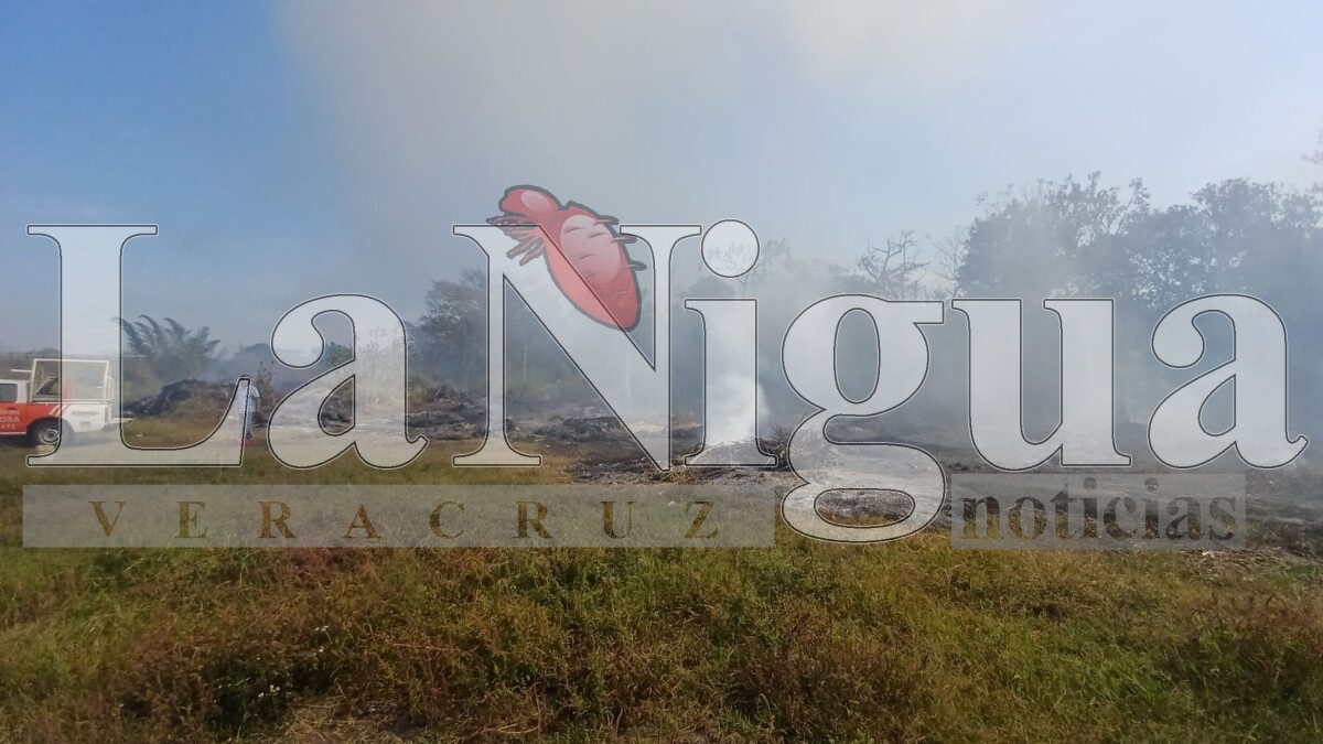 Controlan incendio de llantas en San José de Tapia, Córdoba 18 img 20250402 wa00504211646800885792374