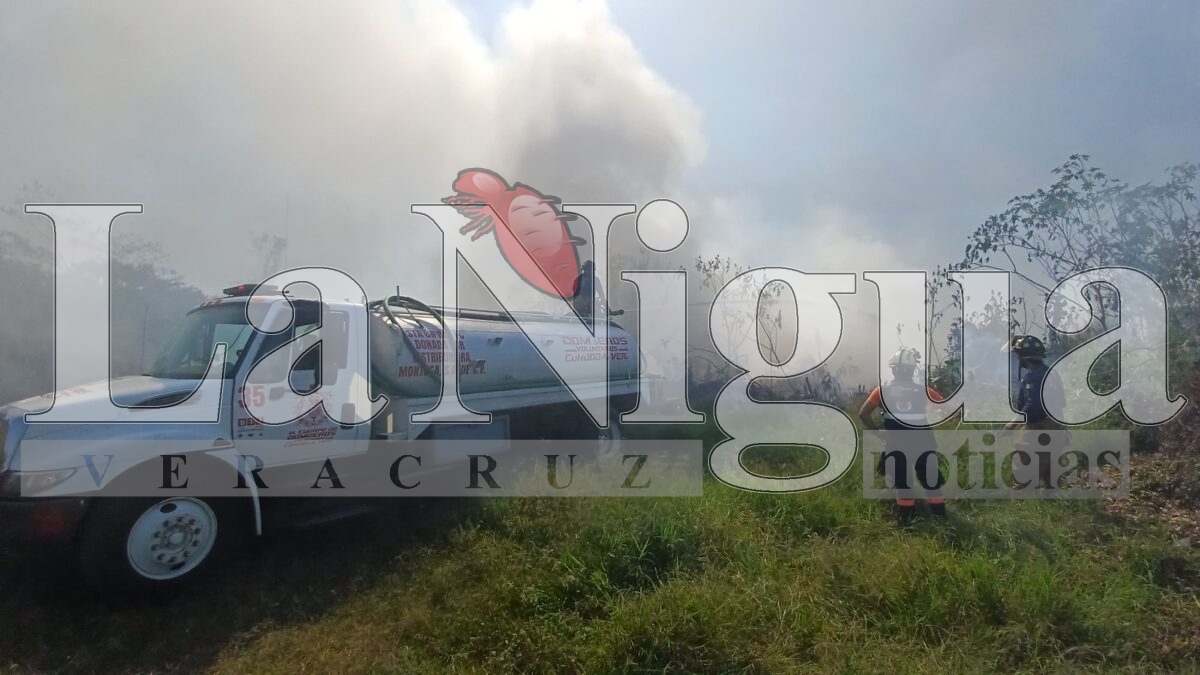 Controlan incendio de llantas en San José de Tapia, Córdoba 15 img 20250402 wa00525367337747093387006