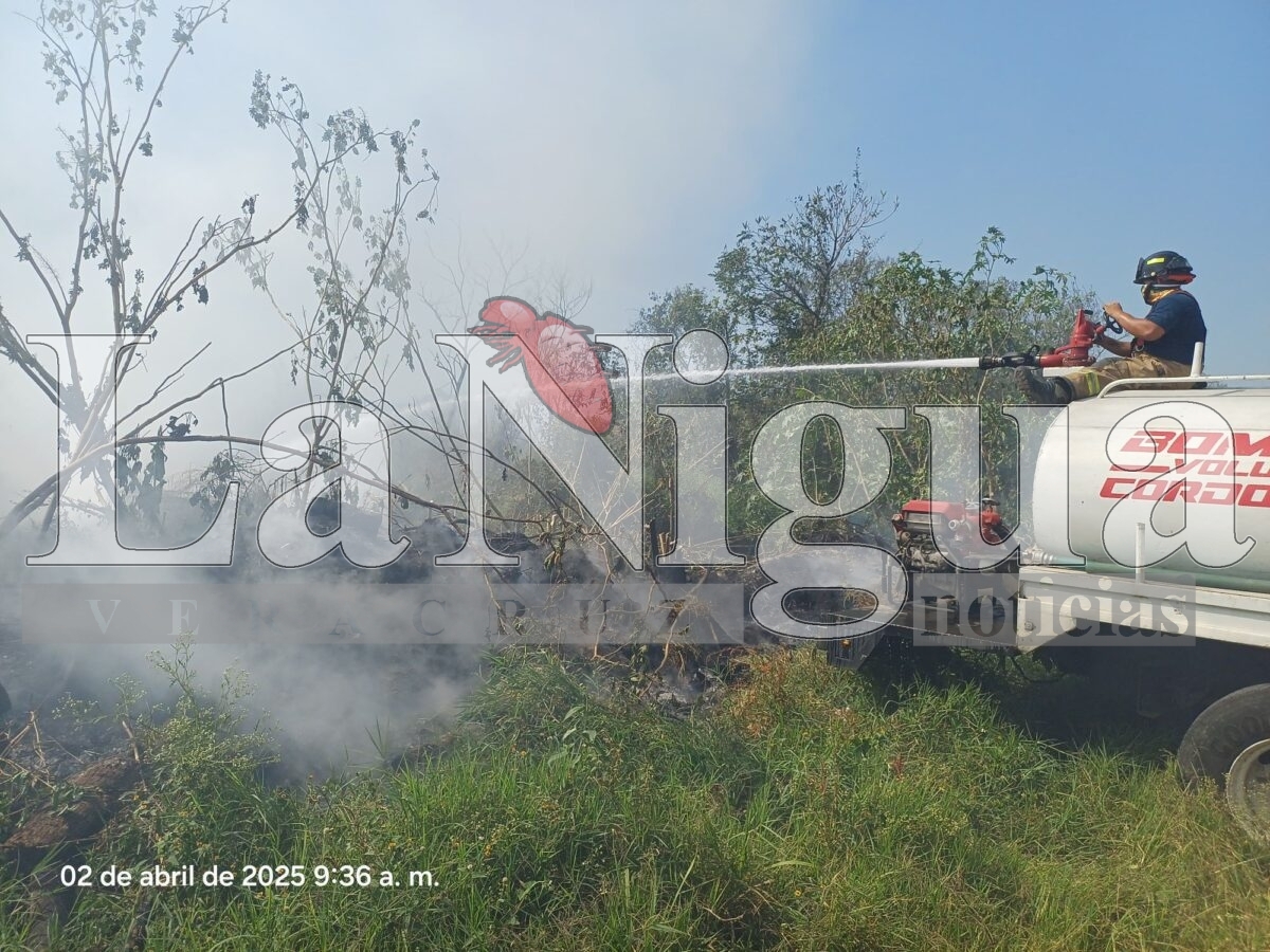 Controlan incendio de llantas en San José de Tapia, Córdoba 11 img 20250402 wa00595868264716656787160