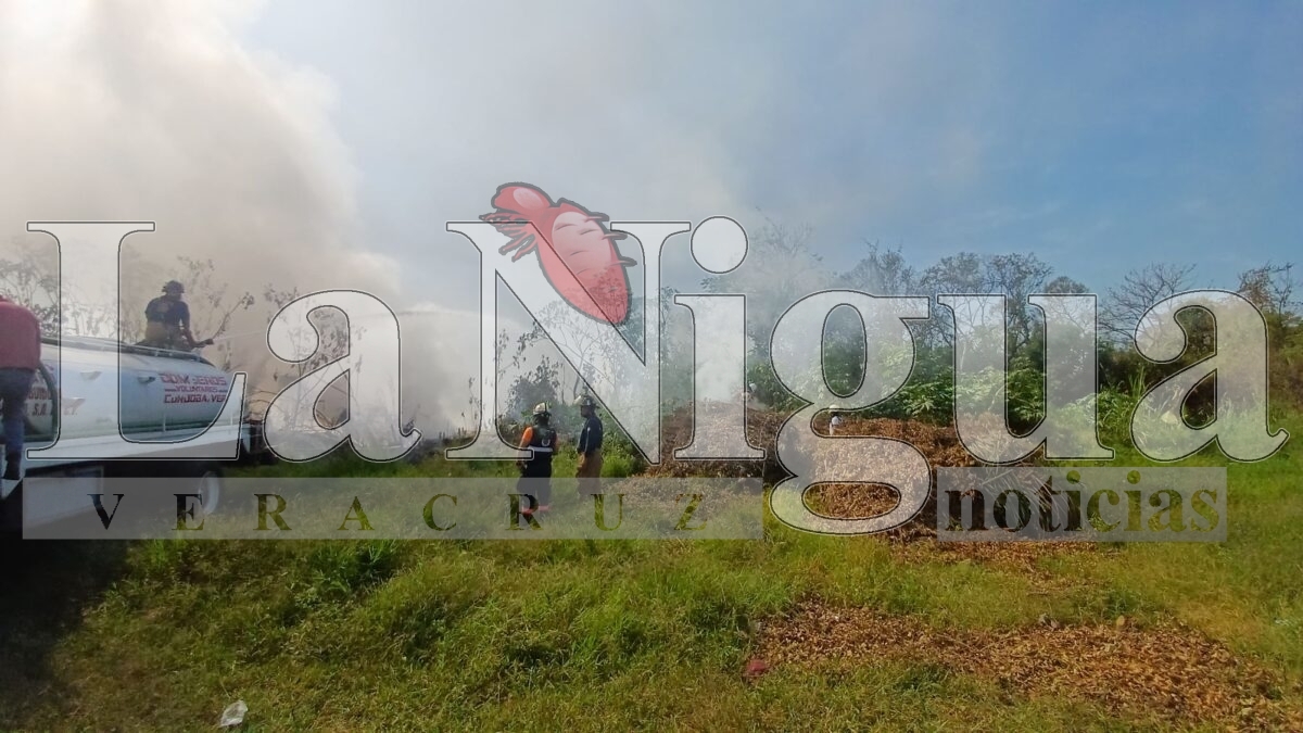 Controlan incendio de llantas en San José de Tapia, Córdoba 13 img 20250402 wa00607558778477094817437