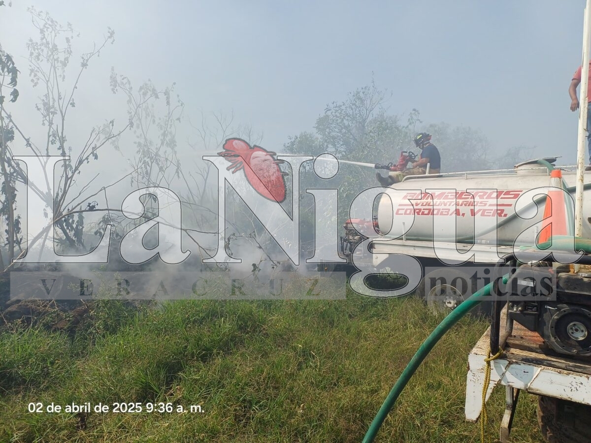 Controlan incendio de llantas en San José de Tapia, Córdoba 8 img 20250402 wa00642233244928136559545