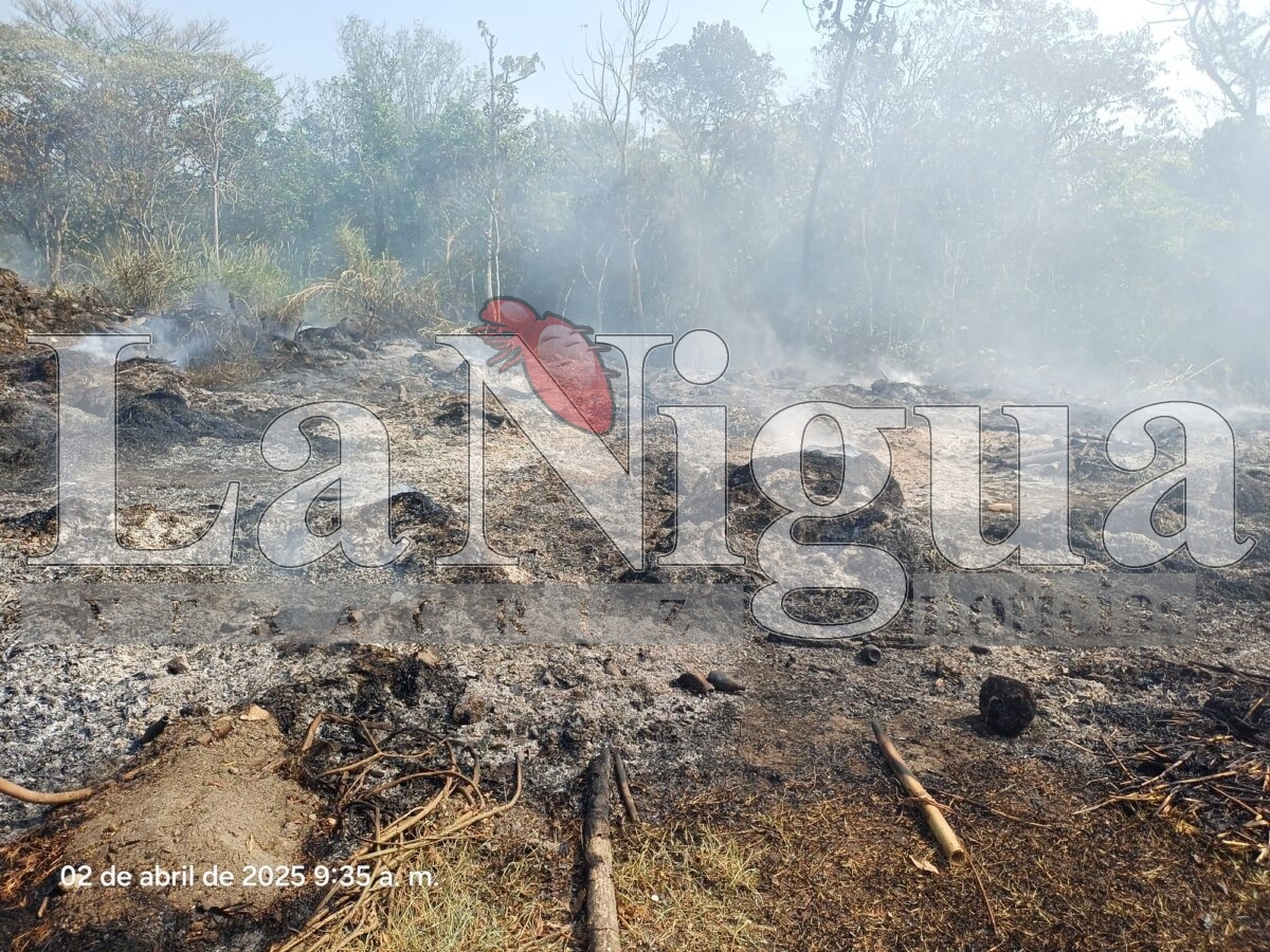 Controlan incendio de llantas en San José de Tapia, Córdoba 5 img 20250402 wa00726025225438527525079