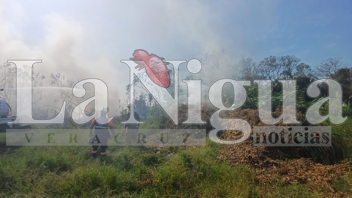 Controlan incendio de llantas en San José de Tapia, Córdoba 4 img 20250402 wa00744929461591605464188