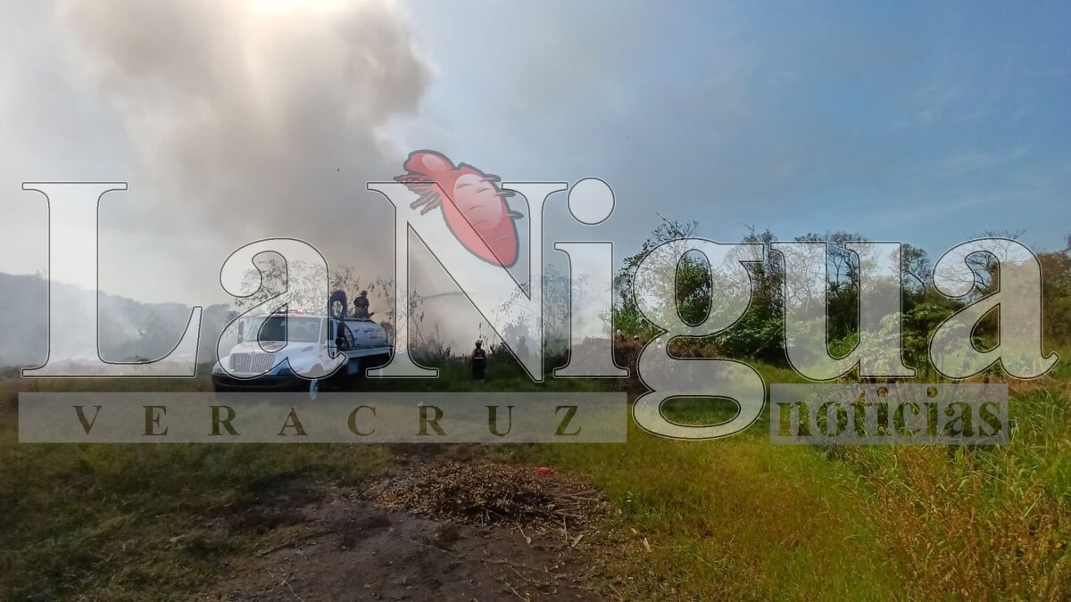 Controlan incendio de llantas en San José de Tapia, Córdoba 3 img 20250402 wa00764250620121442003967
