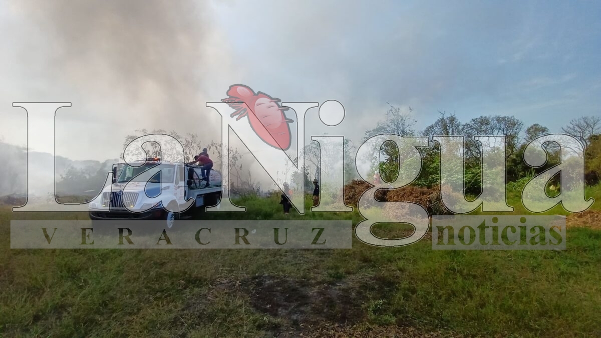 Controlan incendio de llantas en San José de Tapia, Córdoba 2 img 20250402 wa00781921265418629803066