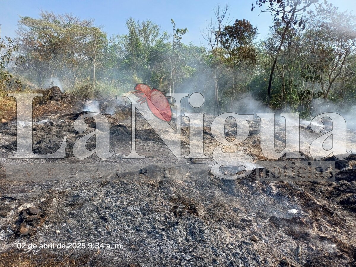 Controlan incendio de llantas en San José de Tapia, Córdoba 1 img 20250402 wa00802117677444141528347