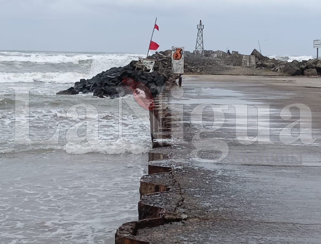 img 20250403 wa00475144109914924981841