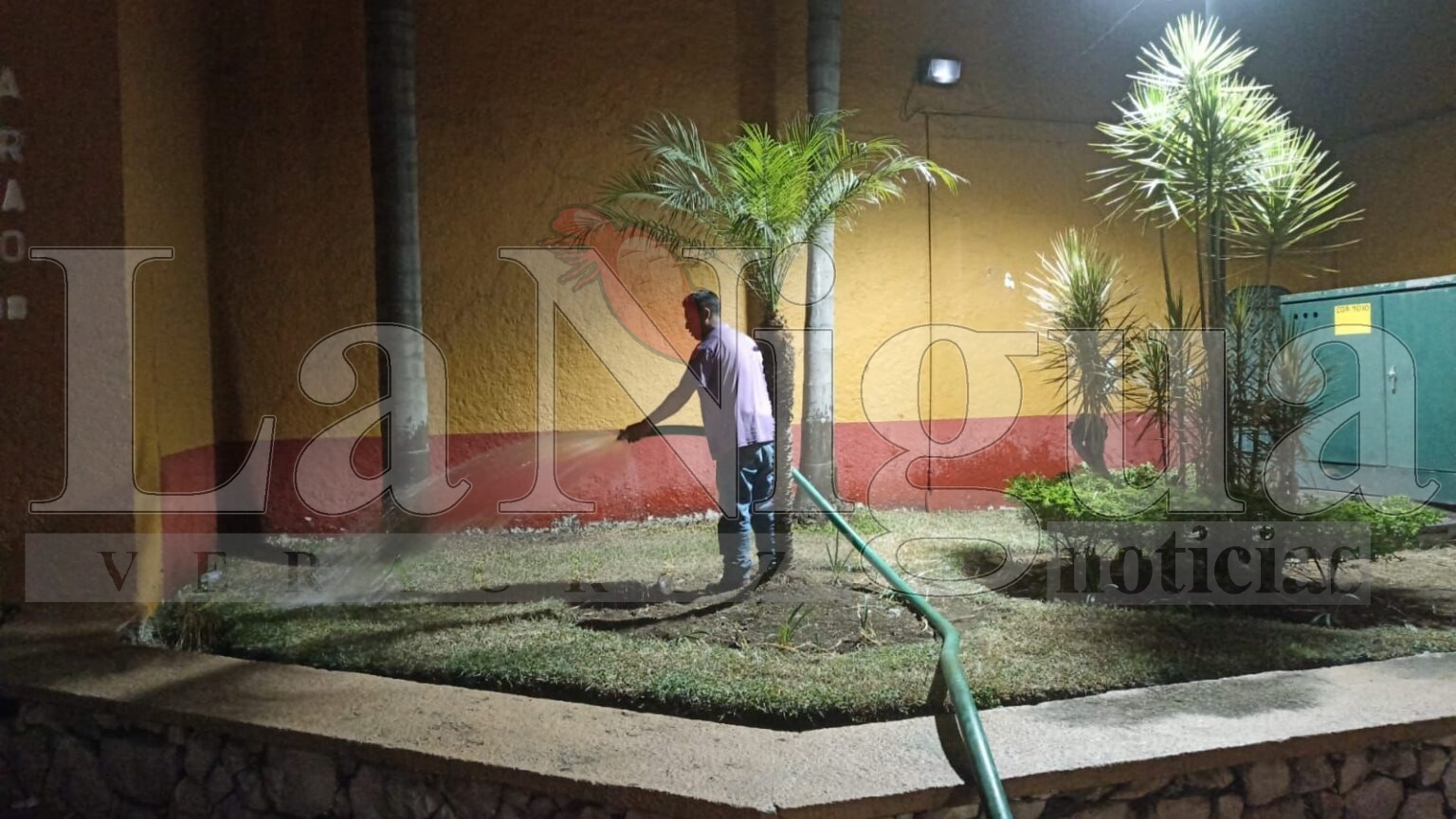 Refuerza Parques y Jardines cuidados a áreas verdes en temporada de calor