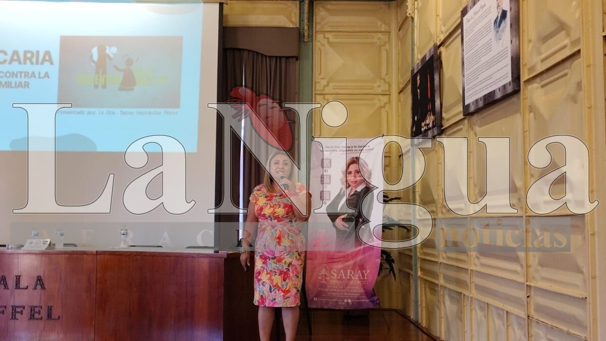 Mujeres víctimas de violencia vicaria protestan en ponencia de candidata a magistrada 3 img 20250403 wa0234561022497745594515