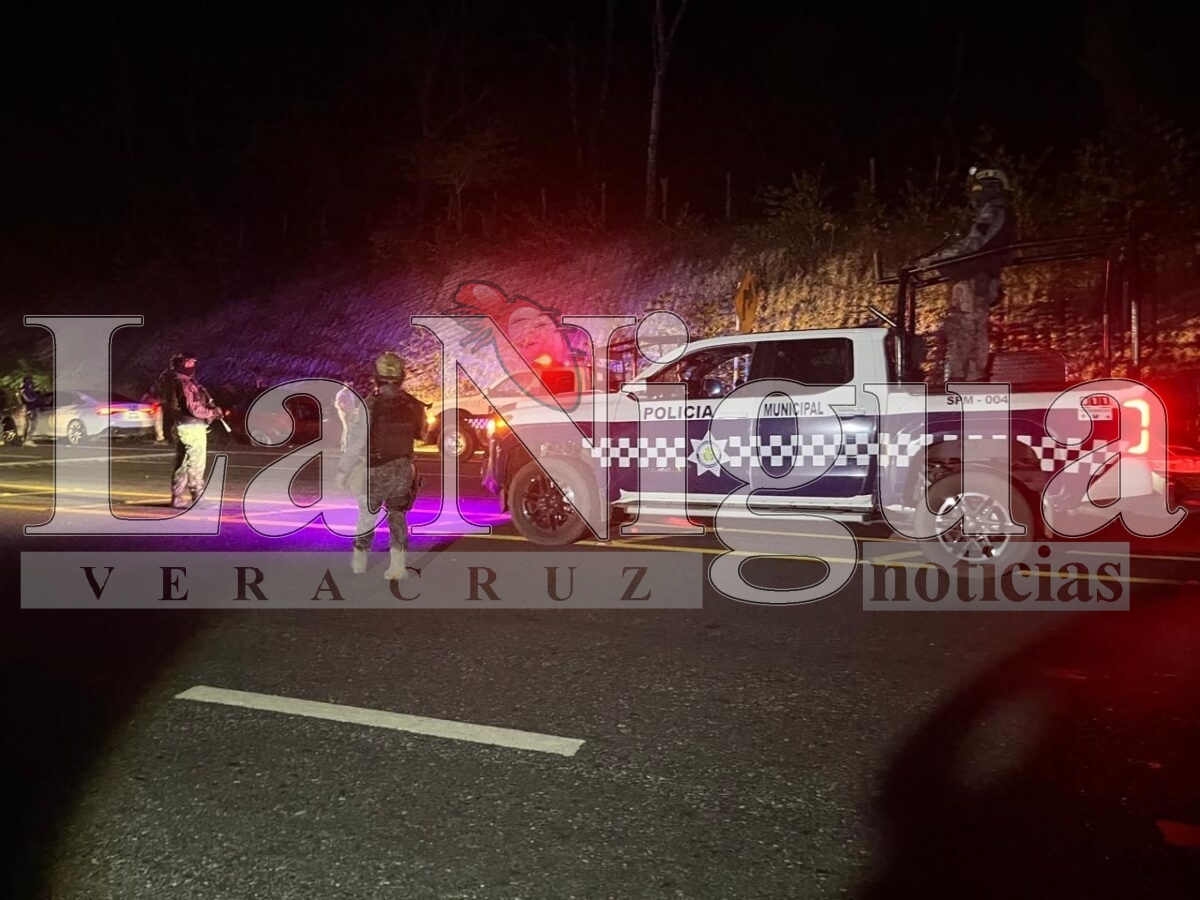 Delincuentes fallan en intento de robo de auto; como siempre, corrieron a esconderse a Sayula pero les cayó la ley 3 img 20250404 wa00012178255586392488209