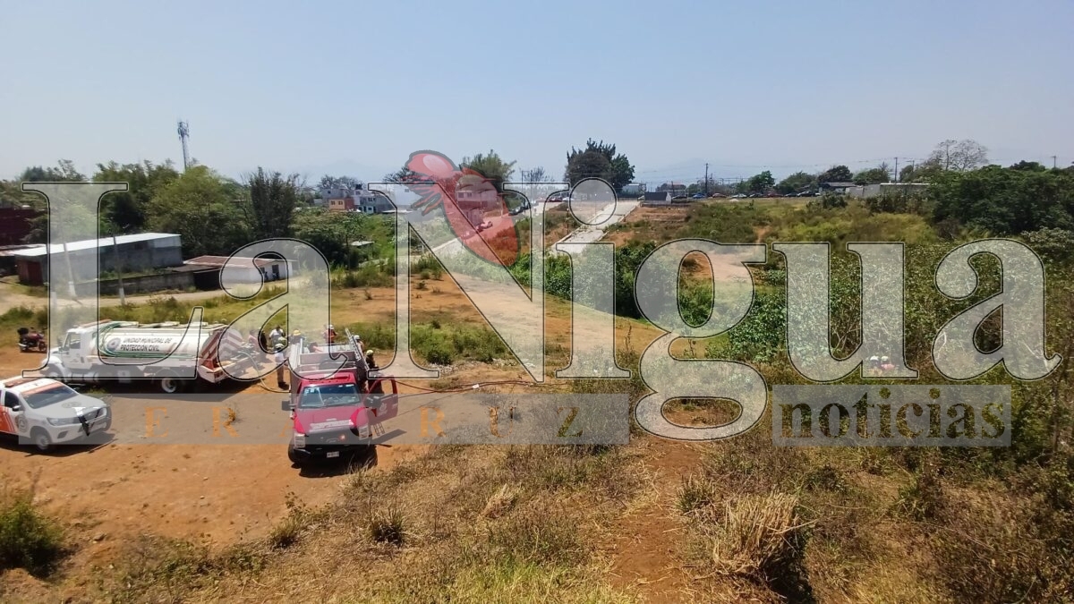 Incendio de pastizal en la colonia Del Ángel es controlado por bomberos y voluntarios en Córdoba 11 img 20250404 wa0069627838111622444978