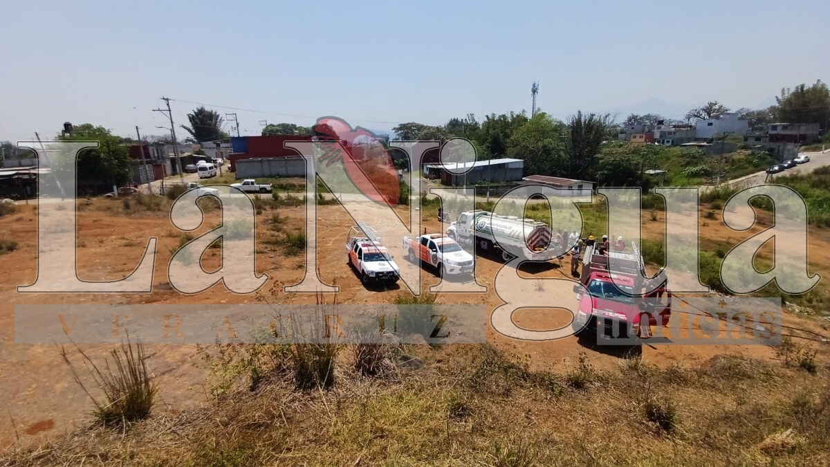 Incendio de pastizal en la colonia Del Ángel es controlado por bomberos y voluntarios en Córdoba 10 img 20250404 wa00702866181548301743186