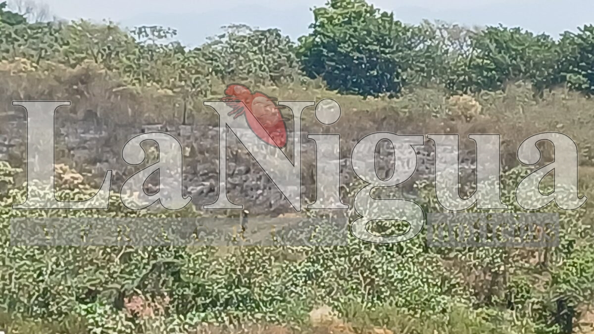 Incendio de pastizal en la colonia Del Ángel es controlado por bomberos y voluntarios en Córdoba 9 img 20250404 wa00727967767001070530221