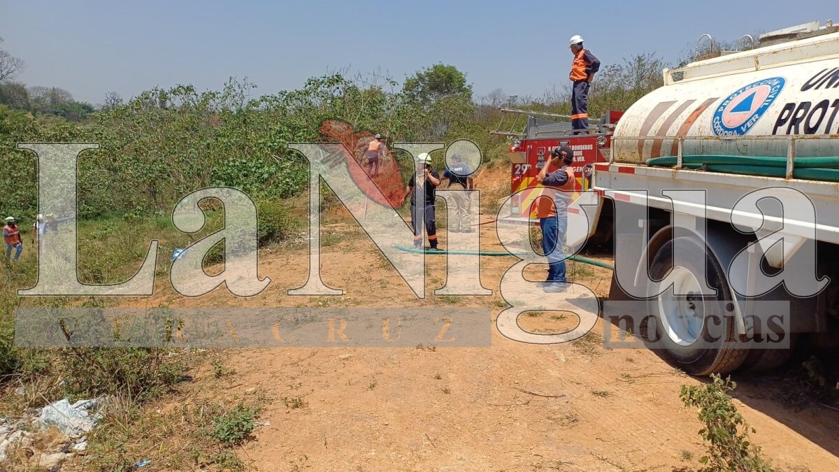 Incendio de pastizal en la colonia Del Ángel es controlado por bomberos y voluntarios en Córdoba 8 img 20250404 wa00752546639203785772345