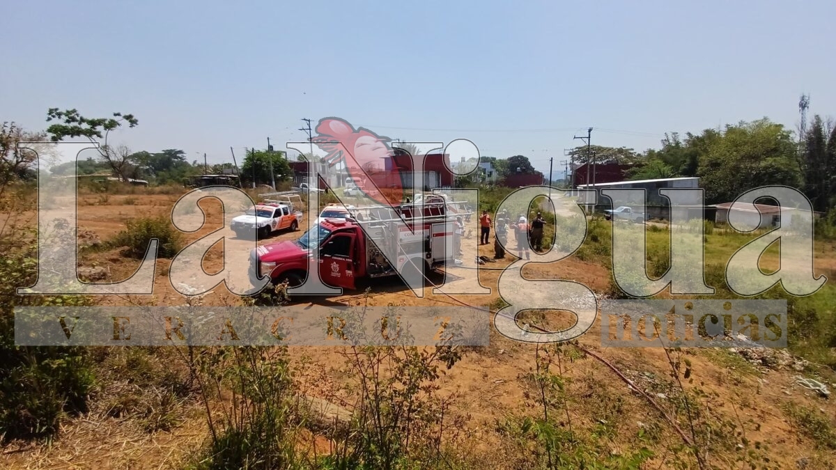 Incendio de pastizal en la colonia Del Ángel es controlado por bomberos y voluntarios en Córdoba 7 img 20250404 wa00763916664339049358065