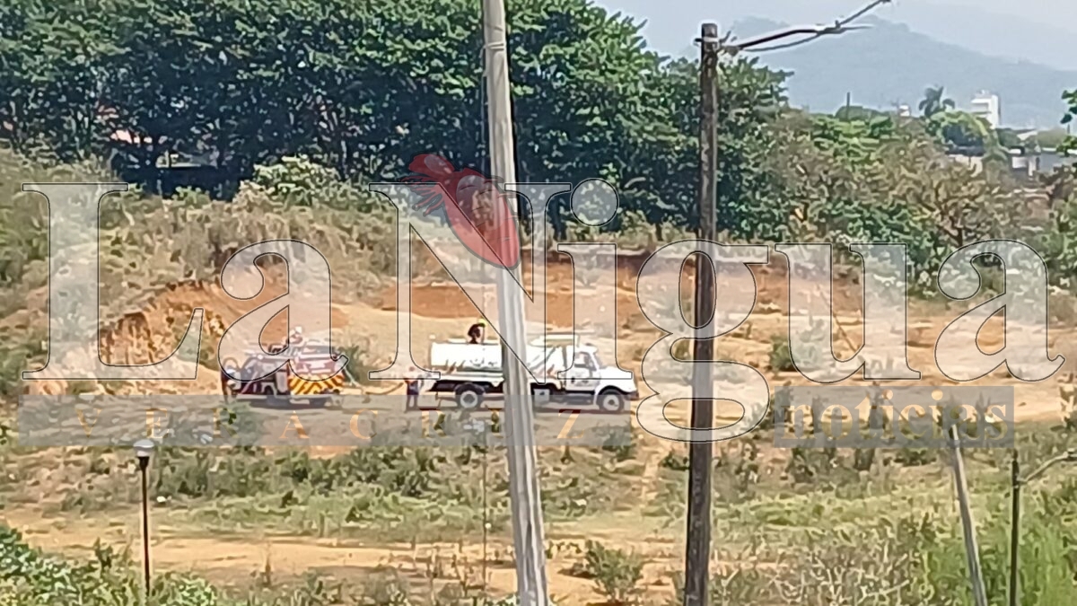 Incendio de pastizal en la colonia Del Ángel es controlado por bomberos y voluntarios en Córdoba 5 img 20250404 wa0086881454437655025892