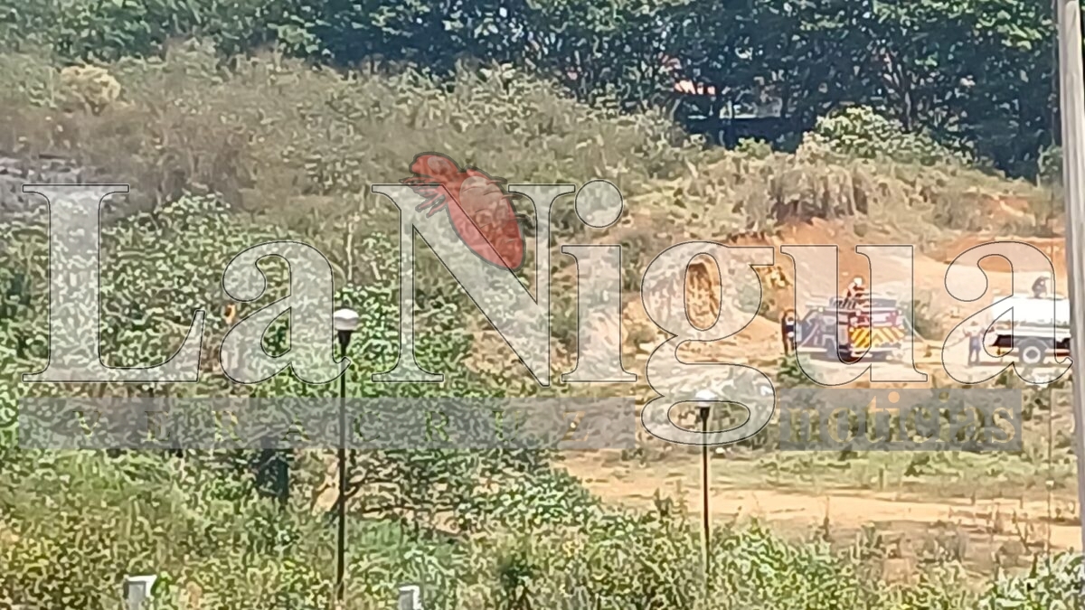 Incendio de pastizal en la colonia Del Ángel es controlado por bomberos y voluntarios en Córdoba 4 img 20250404 wa00881791808157707064966