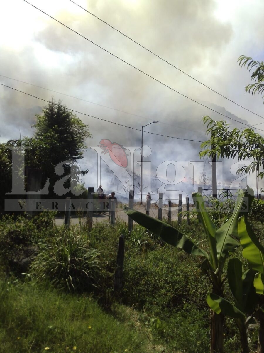 Se registran múltiples incendios de pastizales en Córdoba; atienden cuerpos de emergencia 9 img 20250404 wa00914756276161606850717