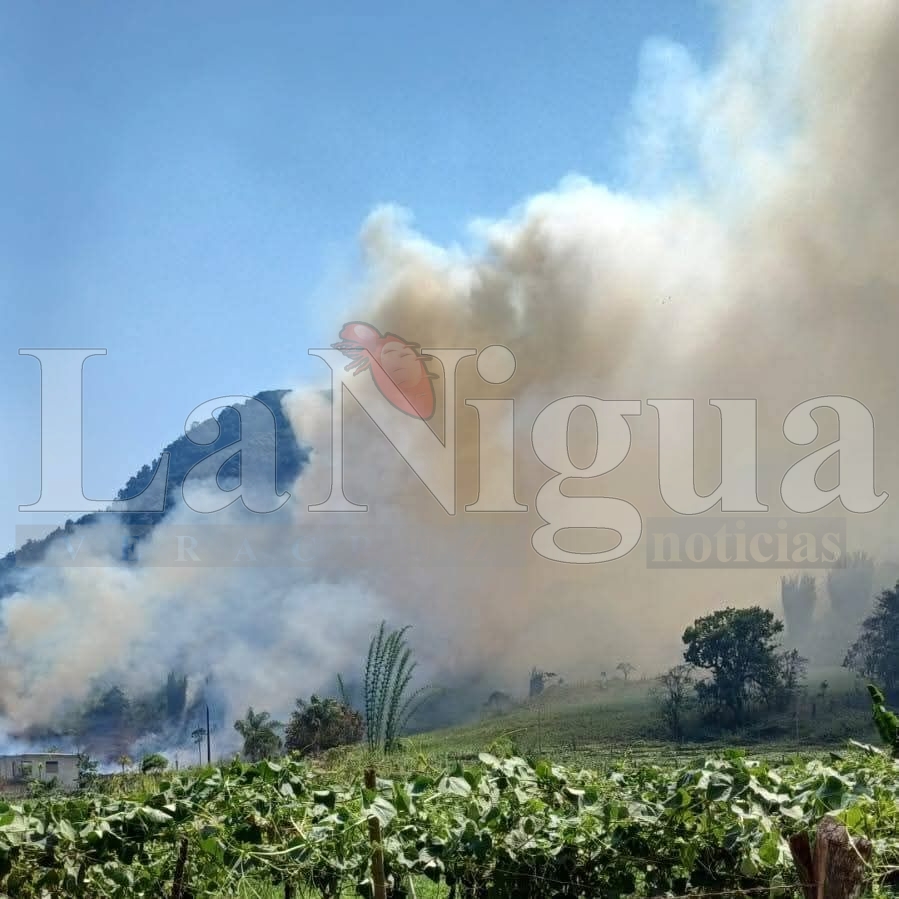 Se registran múltiples incendios de pastizales en Córdoba; atienden cuerpos de emergencia 12 img 20250404 wa01207389688203283125359