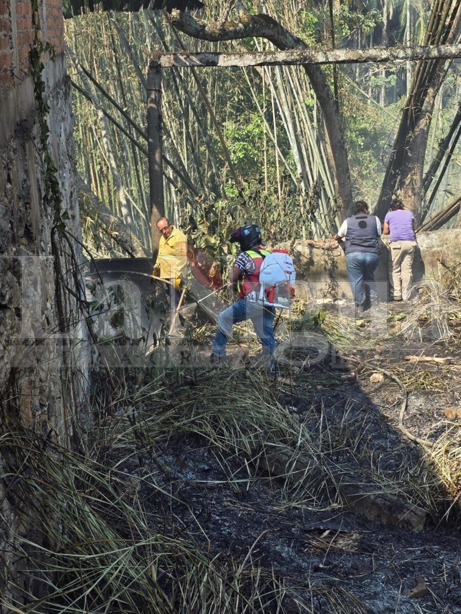 Se registran múltiples incendios de pastizales en Córdoba; atienden cuerpos de emergencia 10 img 20250404 wa0122919160736803623606
