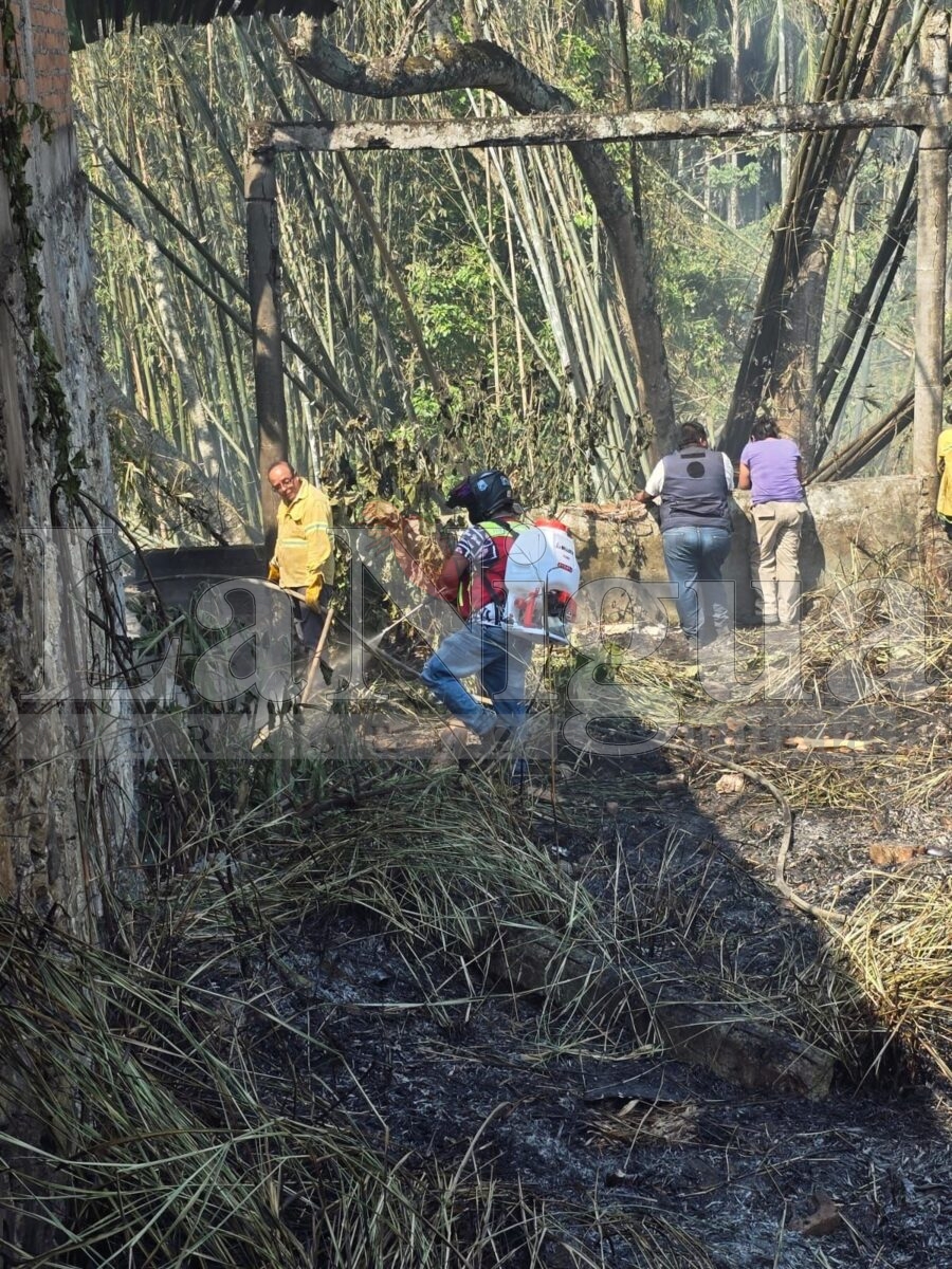 Se registran múltiples incendios de pastizales en Córdoba; atienden cuerpos de emergencia 5 img 20250404 wa01235932820708702572677