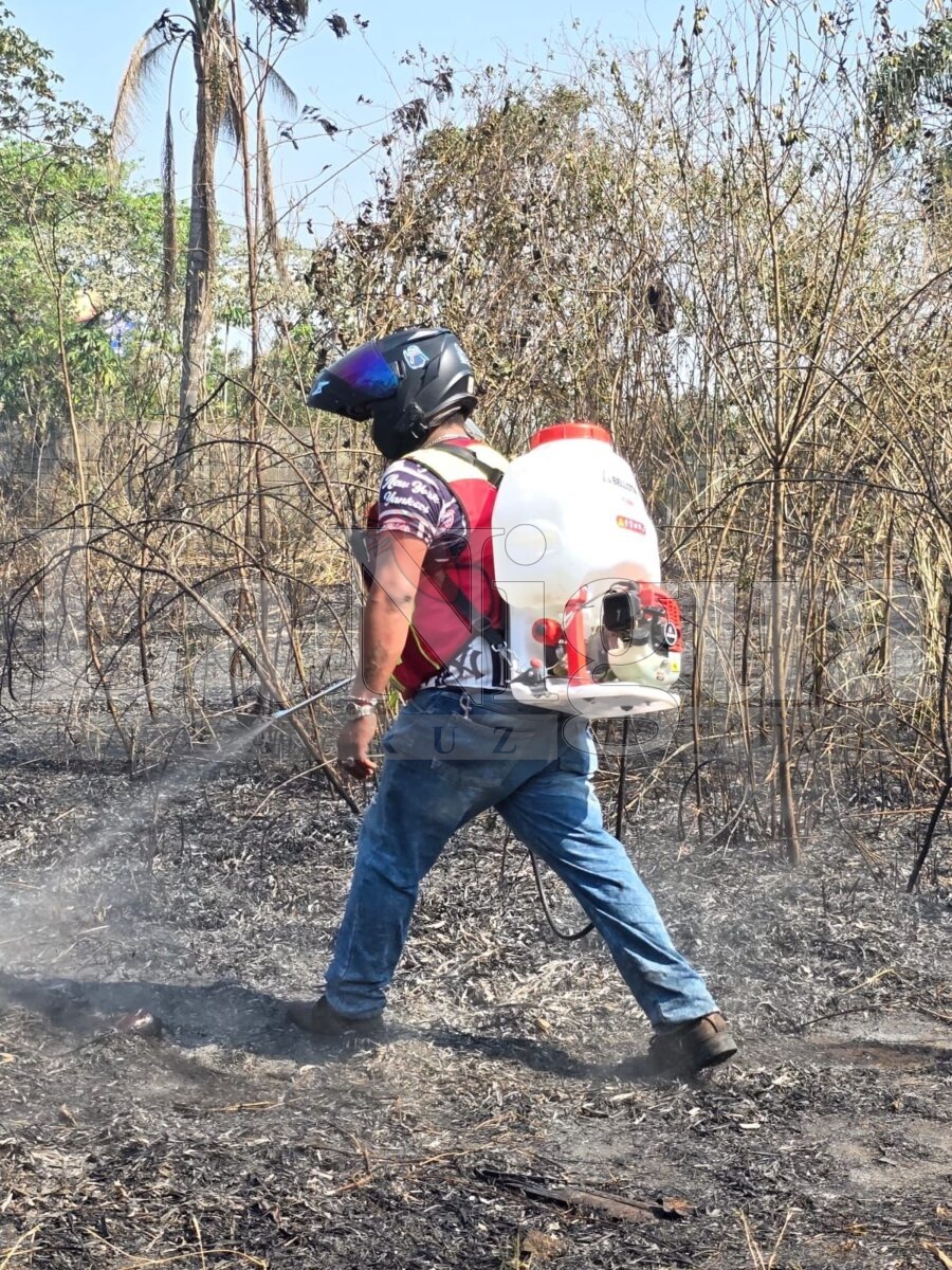 Se registran múltiples incendios de pastizales en Córdoba; atienden cuerpos de emergencia 6 img 20250404 wa01243837827950231669558