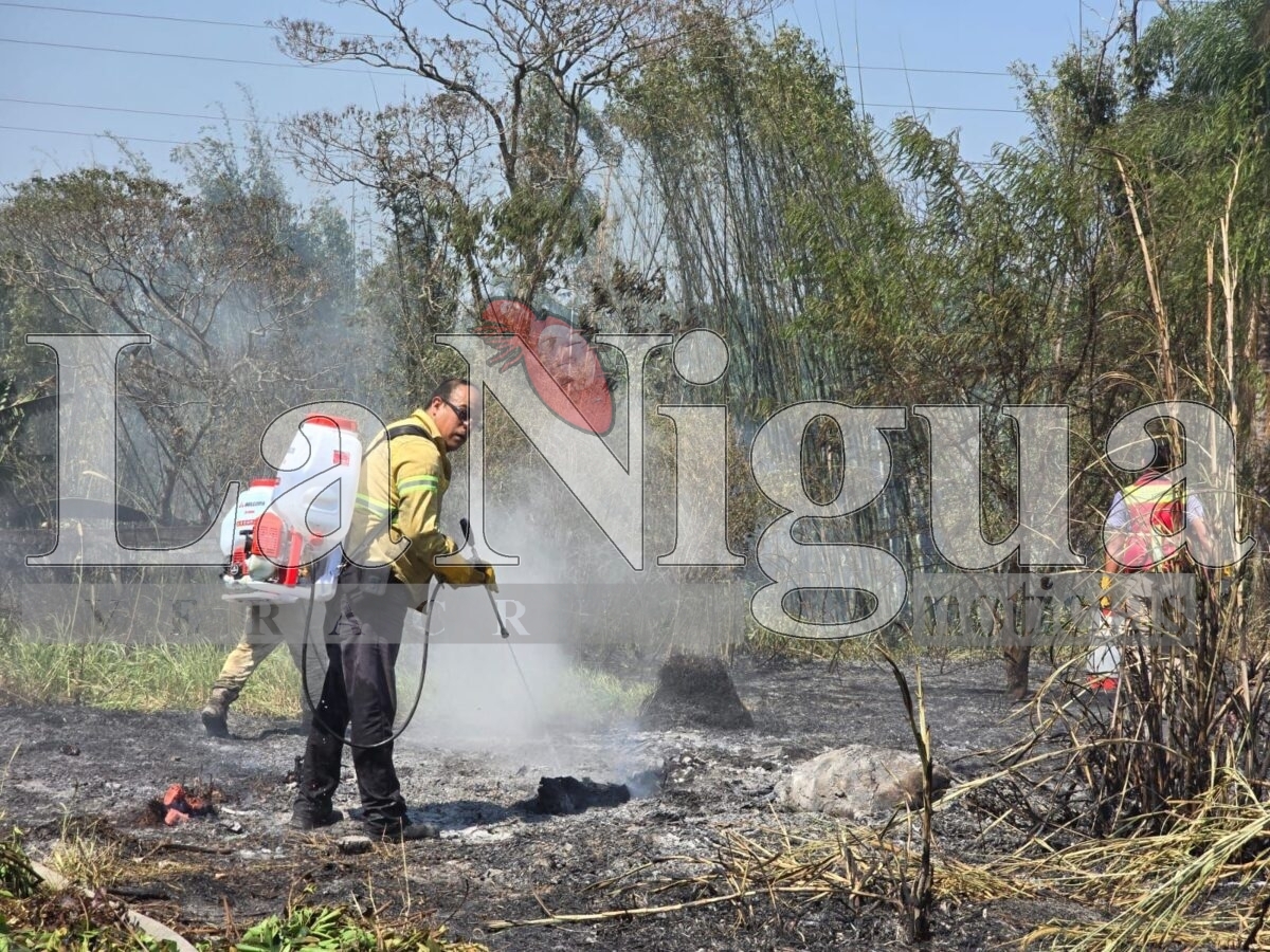 Se registran múltiples incendios de pastizales en Córdoba; atienden cuerpos de emergencia 7 img 20250404 wa01251669192429709676768