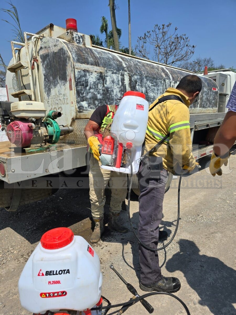 Se registran múltiples incendios de pastizales en Córdoba; atienden cuerpos de emergencia 2 img 20250404 wa01273522510299965292355