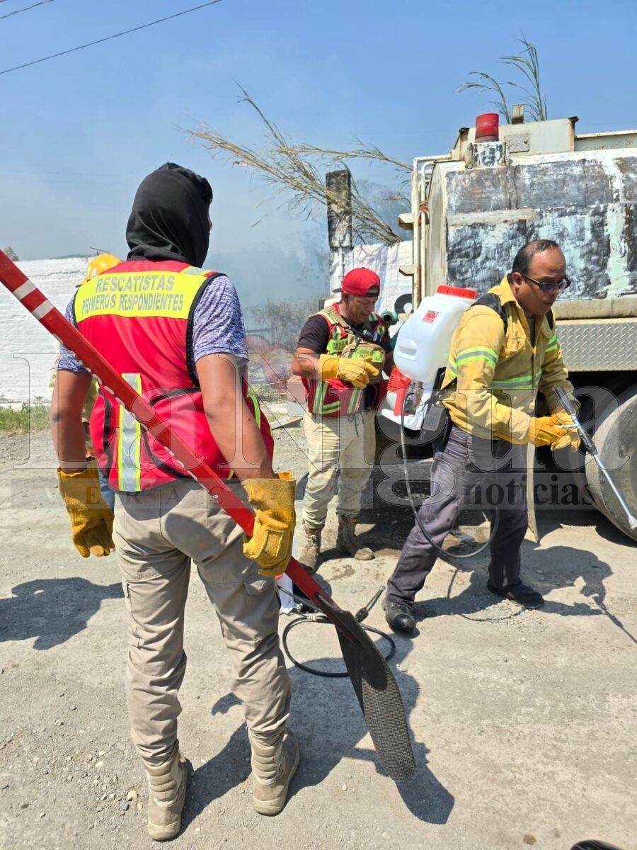 Se registran múltiples incendios de pastizales en Córdoba; atienden cuerpos de emergencia 3 img 20250404 wa01284096937415435196672