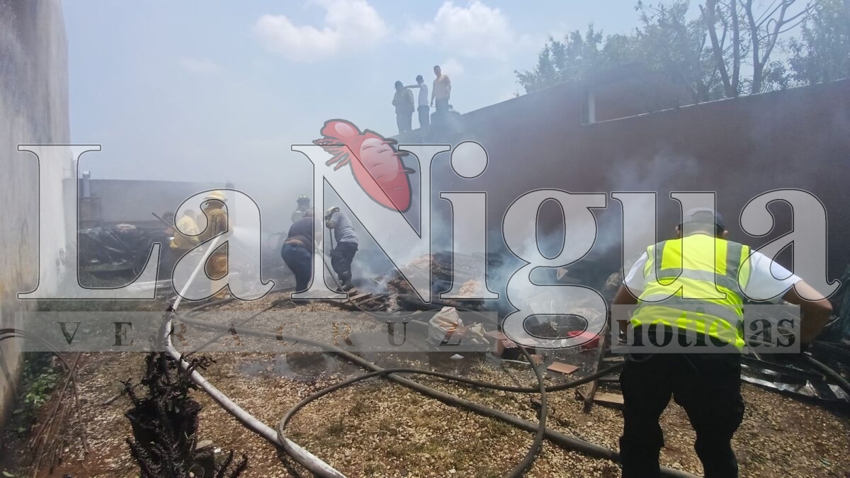 Incendio moviliza a cuerpos de emergencia en Fortín de las Flores 15 img 20250406 wa00338127332855977818813